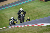 brands-hatch-photographs;brands-no-limits-trackday;cadwell-trackday-photographs;enduro-digital-images;event-digital-images;eventdigitalimages;no-limits-trackdays;peter-wileman-photography;racing-digital-images;trackday-digital-images;trackday-photos